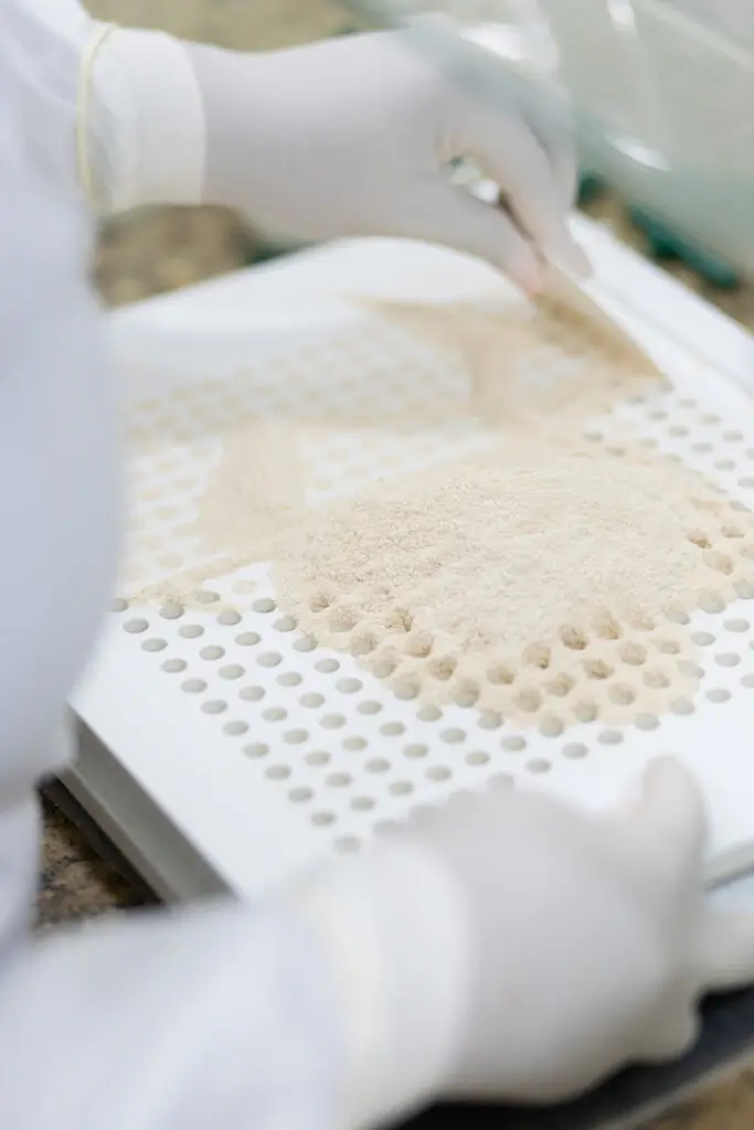 Making Compounded Capsules image